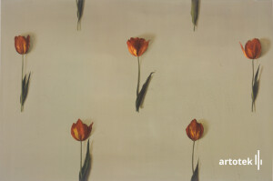 Április(Tulipánok)